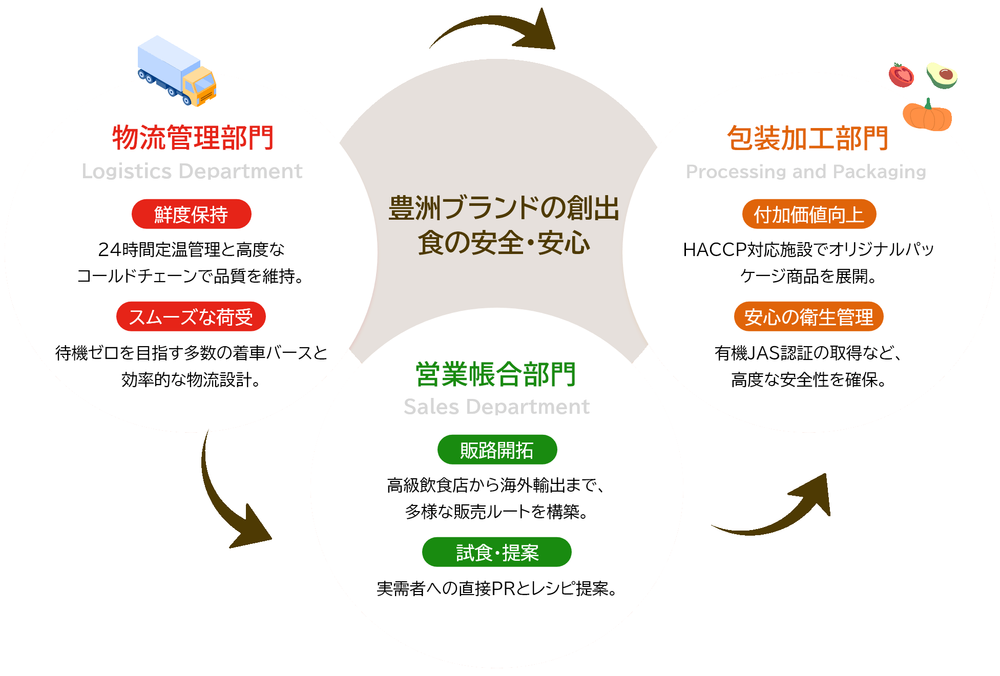 豊洲市場 青果部：価値を最大化する3部門の連携サイクル